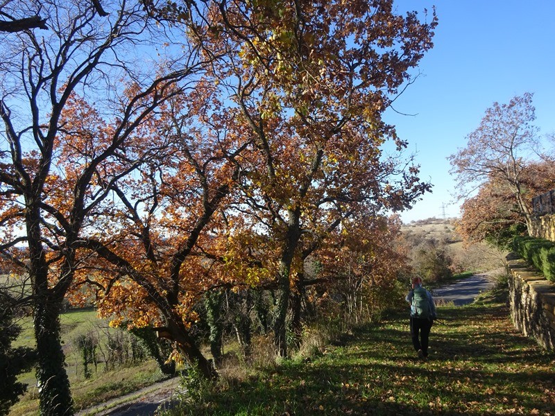 Pohod ob dnevu žena (ogl.t.) - foto povečava