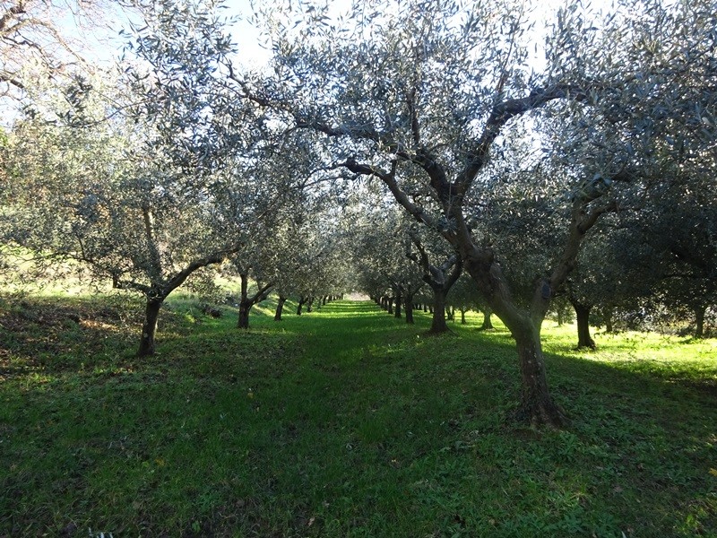 Pohod ob dnevu žena (ogl.t.) - foto povečava