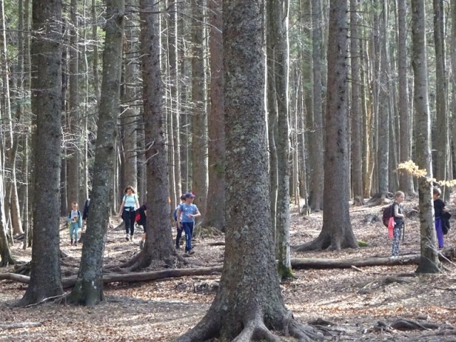 Trije kralji-črno jezero za oš (6.4.2024) - foto