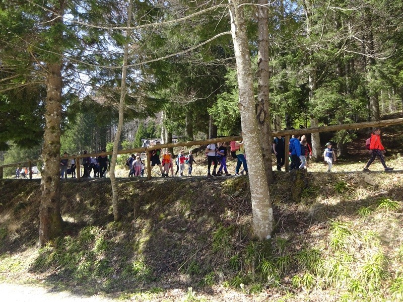 Trije kralji-črno jezero za oš (6.4.2024) - foto povečava