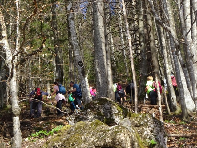 Velika planina (13.4.2024) - foto