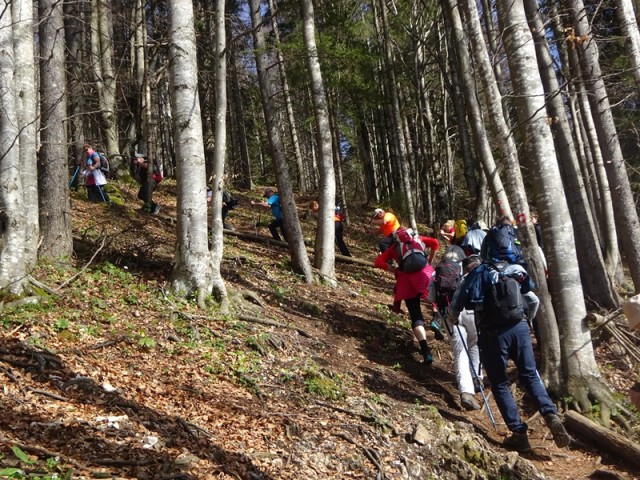 Velika planina (13.4.2024) - foto