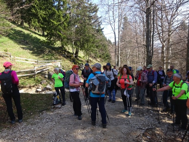 Velika planina (13.4.2024) - foto