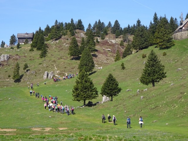 Velika planina (13.4.2024) - foto