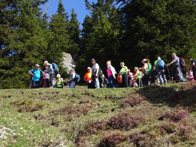 Velika planina (13.4.2024) - foto