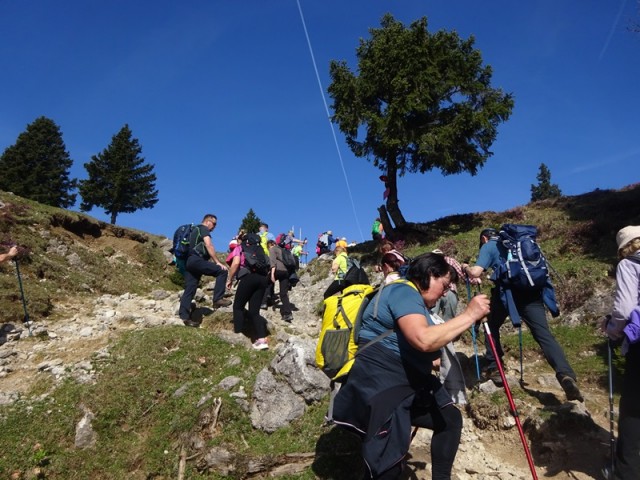 Velika planina (13.4.2024) - foto