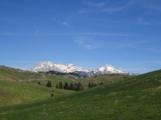 Velika planina (13.4.2024) - foto