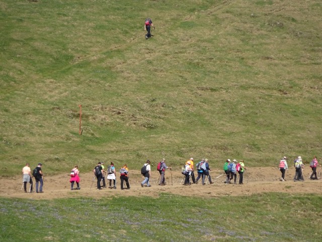 Velika planina (13.4.2024) - foto