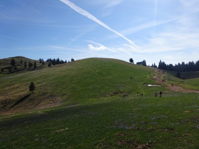 Velika planina (13.4.2024) - foto