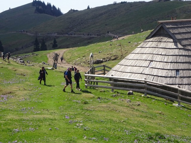 Velika planina (13.4.2024) - foto