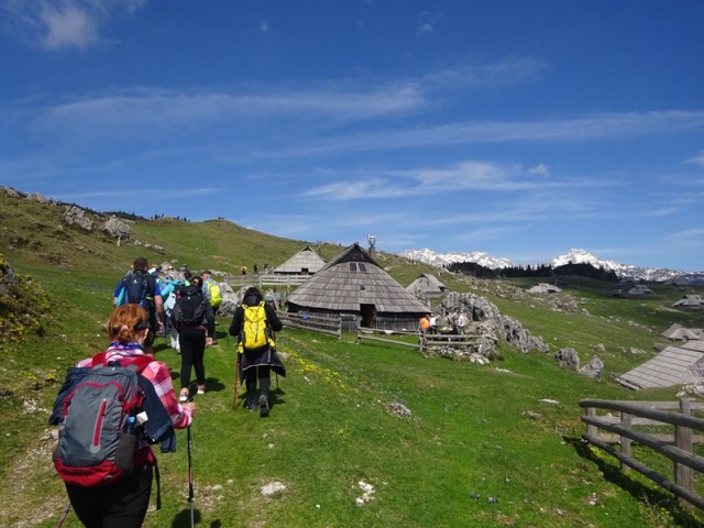 Velika planina (13.4.2024) - foto