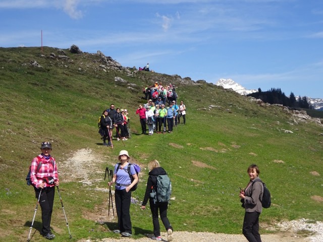 Velika planina (13.4.2024) - foto