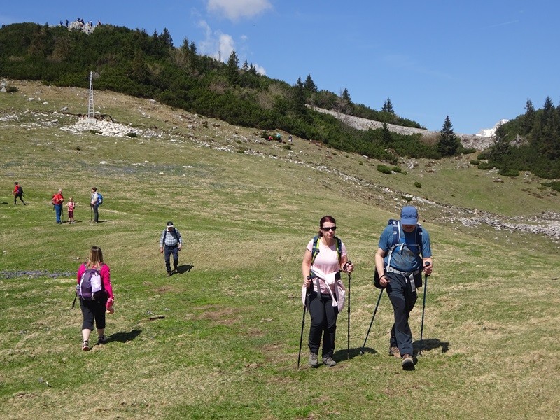 Velika planina (13.4.2024) - foto povečava