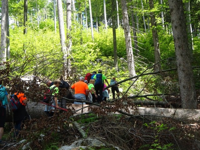 Po medvedovih stopinjah 3.del (18.5.2024) - foto