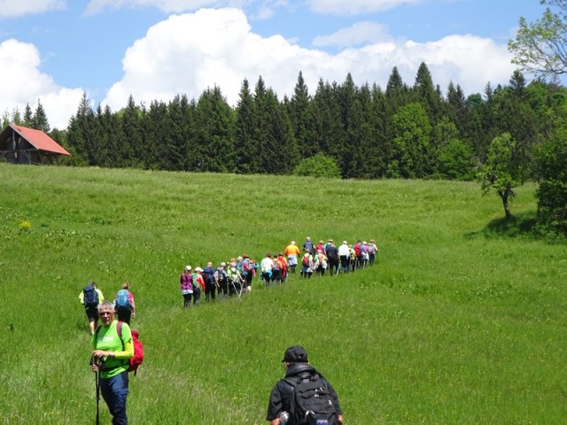 Po medvedovih stopinjah 3.del (18.5.2024) - foto