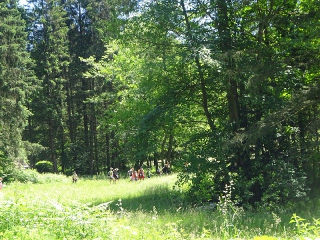 Kapla na kozjaku za oš  (15.6.2024, ogl. t.) - foto