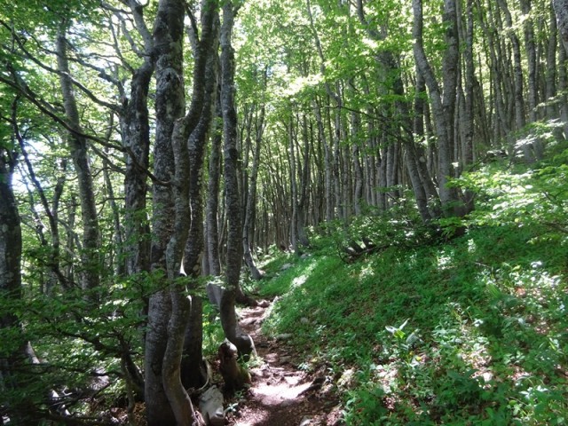 Severni velebit 1. dan (6.6.2024) - foto
