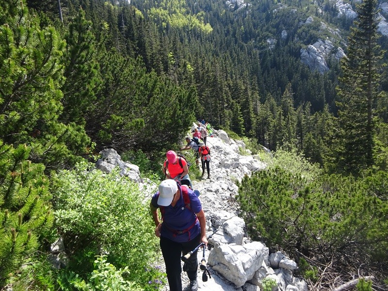 Severni velebit 1. dan (6.6.2024) - foto povečava