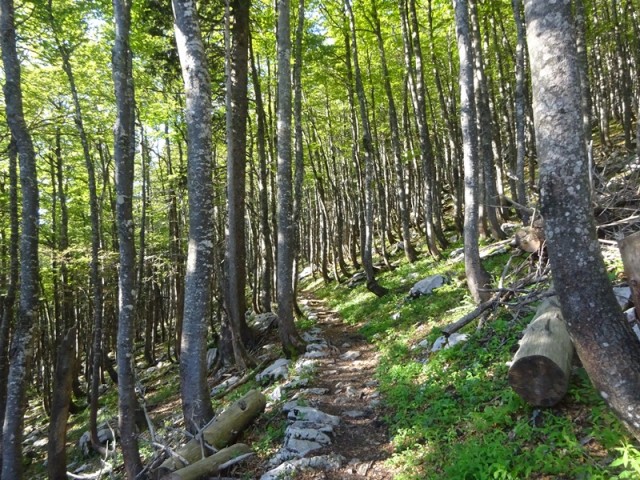 Severni velebit 2. dan (7.6.2024) - foto