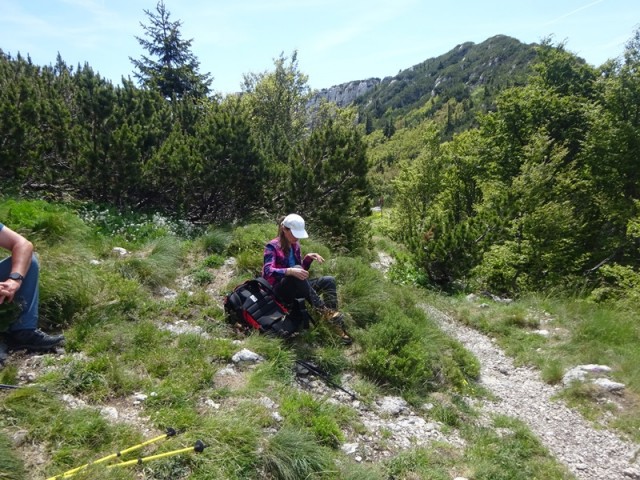Severni velebit 2. dan (7.6.2024) - foto