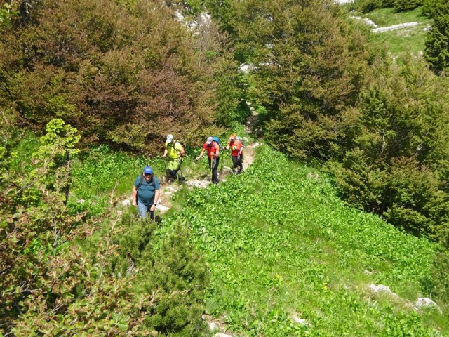 Severni velebit 2. dan (7.6.2024) - foto