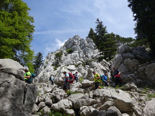 Severni velebit 2. dan (7.6.2024) - foto