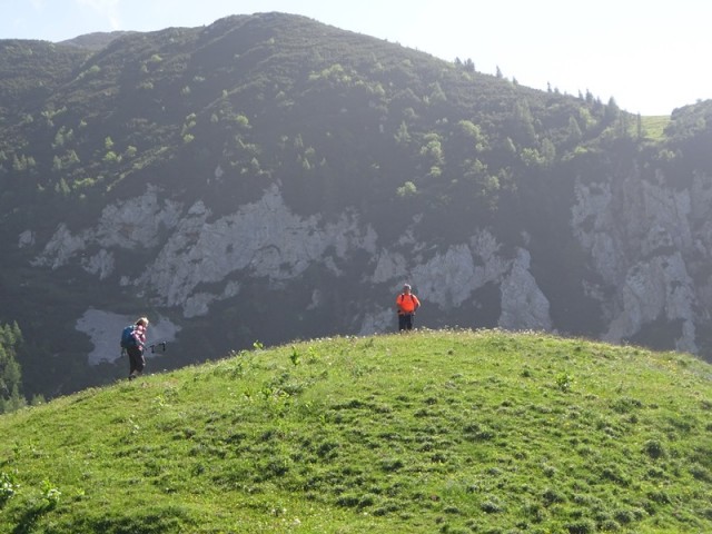Kompotela (ogl.t.) - foto