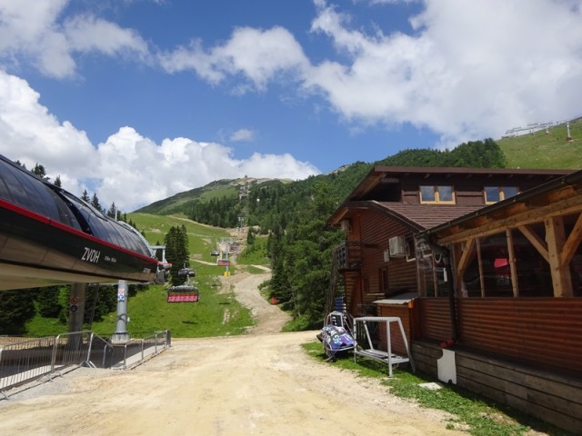 Kompotela (ogl.t.) - foto