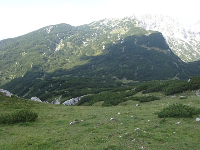Kompotela in vrh korena (31.8.2024) - foto