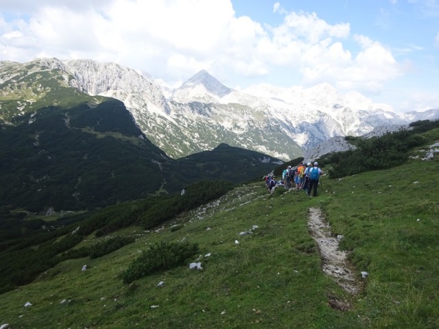 Kompotela in vrh korena (31.8.2024) - foto