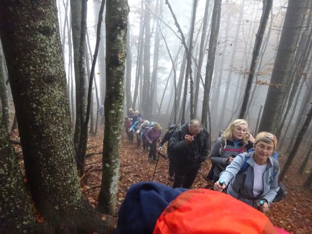 Virnikov grintovec (20.10.2024 in ogl. tura) - foto