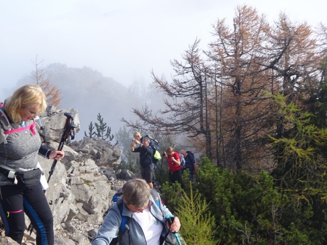 Virnikov grintovec (20.10.2024 in ogl. tura) - foto