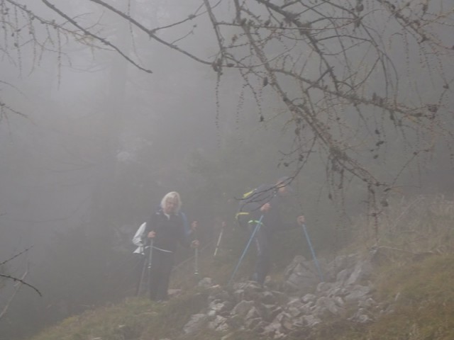Virnikov grintovec (20.10.2024 in ogl. tura) - foto