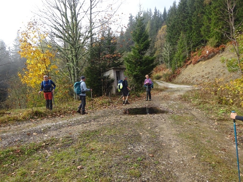 Virnikov grintovec (20.10.2024 in ogl. tura) - foto povečava
