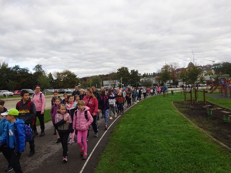 Srečanje OŠ mladine MDO Pomurja (12.10.2024) - foto povečava