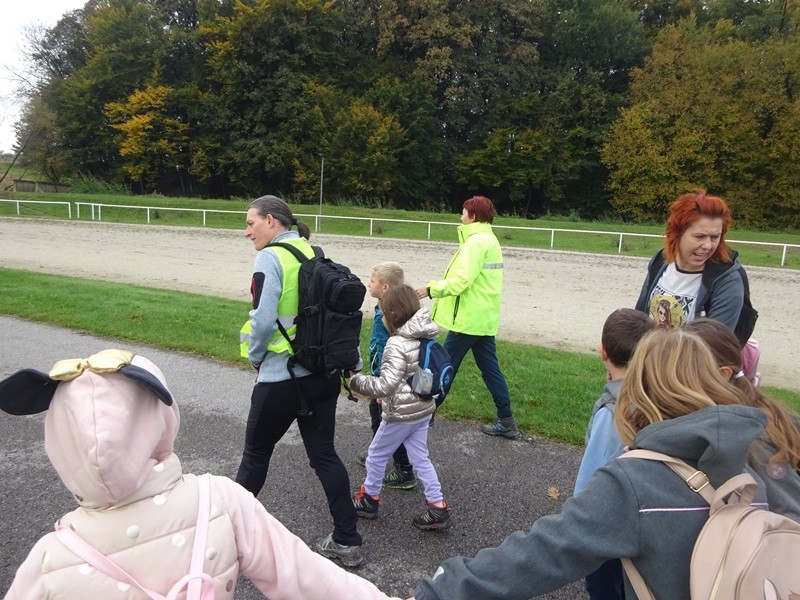 Srečanje OŠ mladine MDO Pomurja (12.10.2024) - foto povečava