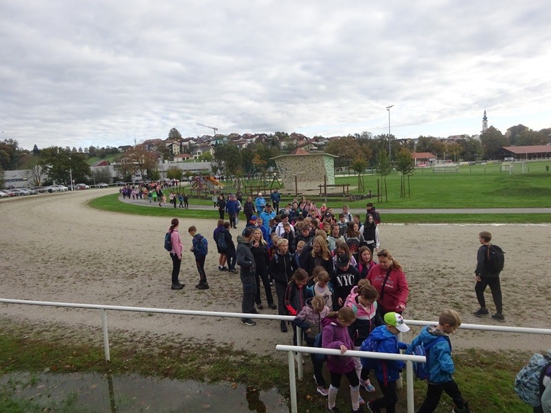 Srečanje OŠ mladine MDO Pomurja (12.10.2024) - foto povečava