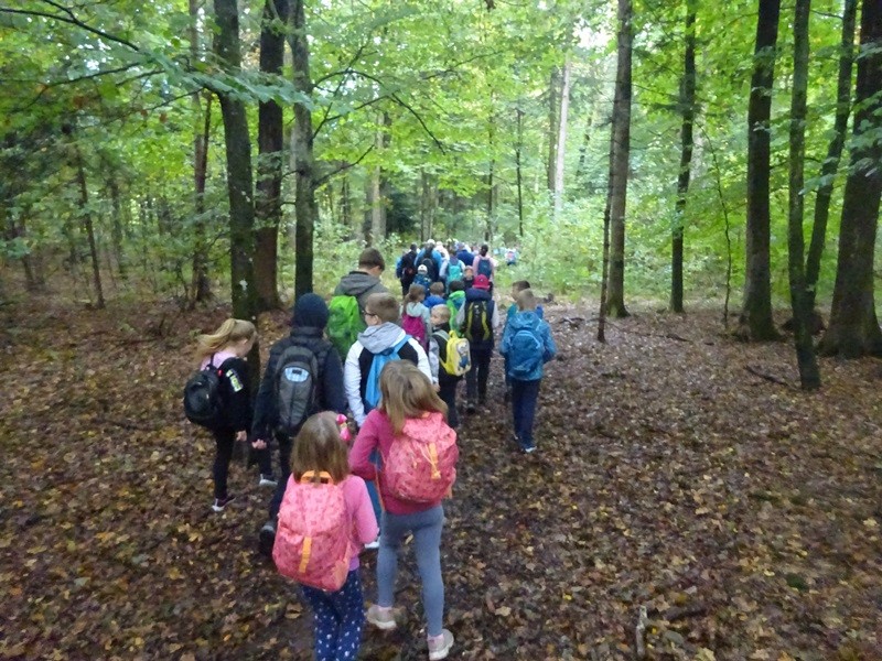 Srečanje OŠ mladine MDO Pomurja (12.10.2024) - foto povečava