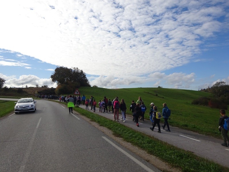 Srečanje OŠ mladine MDO Pomurja (12.10.2024) - foto povečava