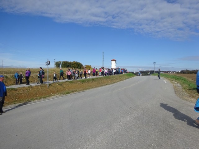 Srečanje OŠ mladine MDO Pomurja (12.10.2024) - foto
