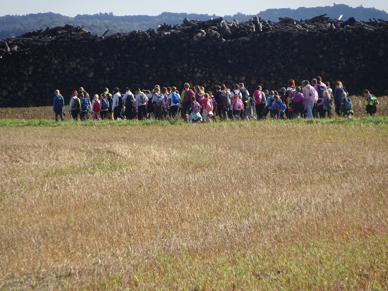 Srečanje OŠ mladine MDO Pomurja (12.10.2024) - foto povečava