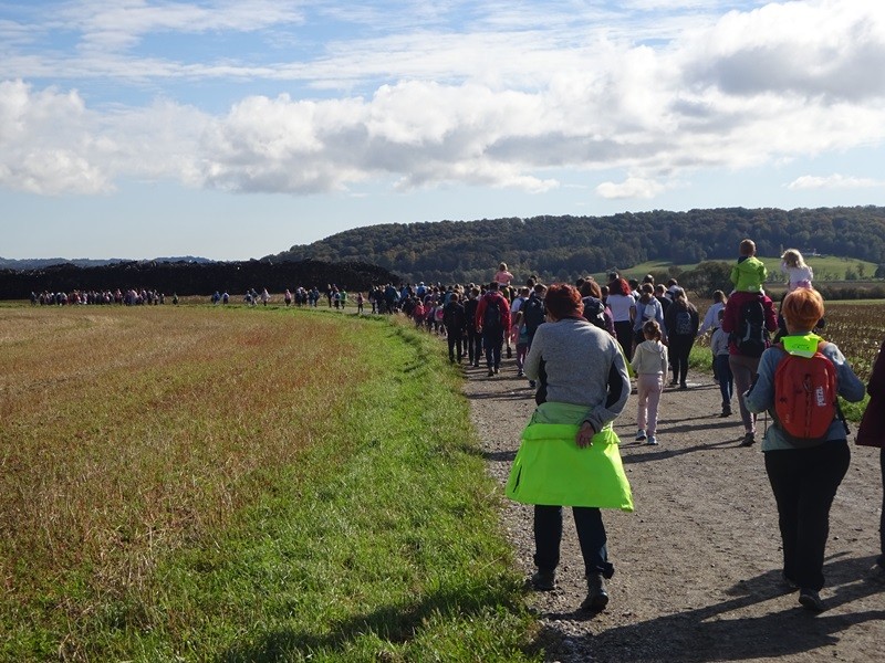 Srečanje OŠ mladine MDO Pomurja (12.10.2024) - foto povečava