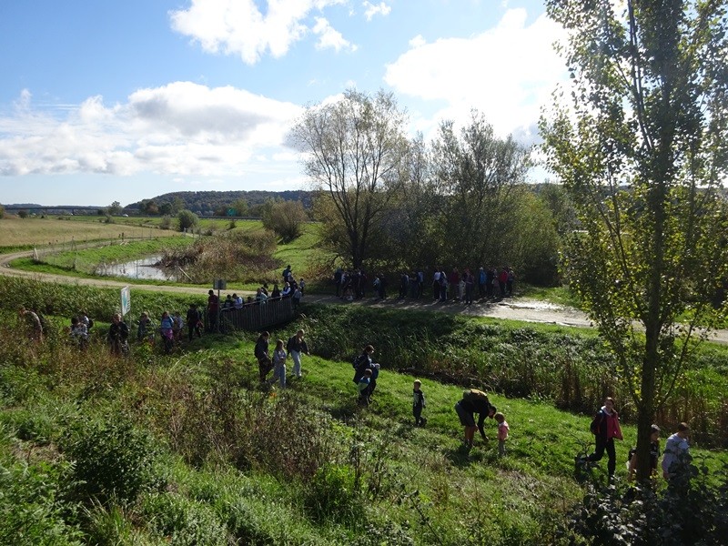 Srečanje OŠ mladine MDO Pomurja (12.10.2024) - foto povečava