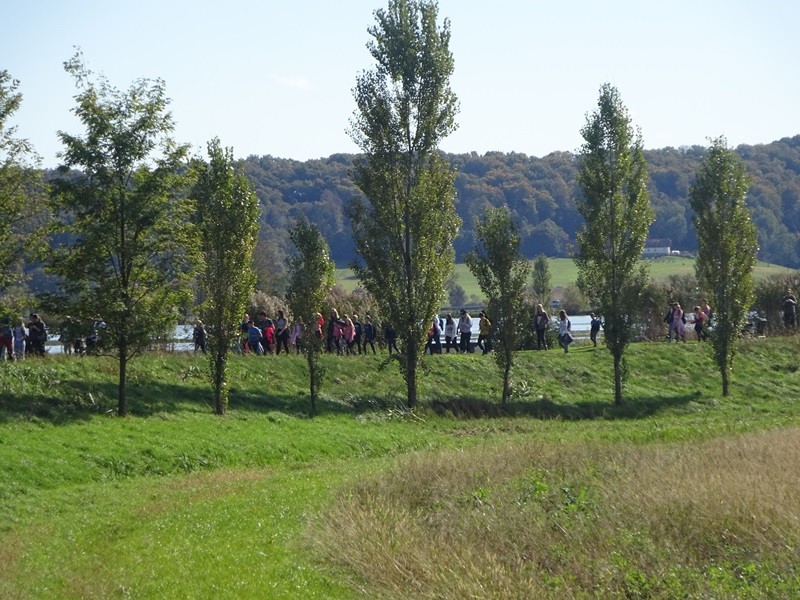 Srečanje OŠ mladine MDO Pomurja (12.10.2024) - foto povečava