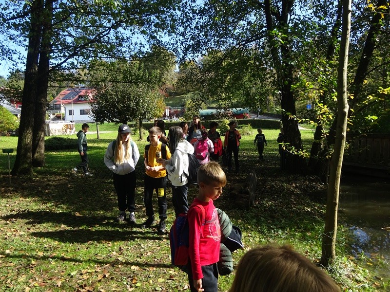 Srečanje OŠ mladine MDO Pomurja (12.10.2024) - foto povečava