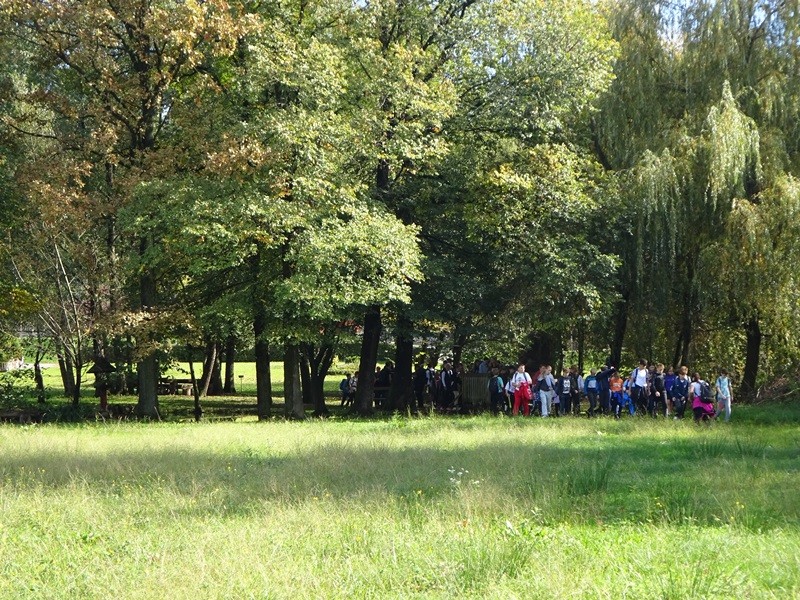 Srečanje OŠ mladine MDO Pomurja (12.10.2024) - foto povečava