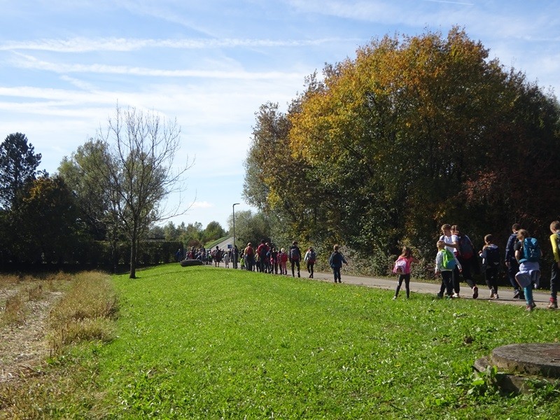 Srečanje OŠ mladine MDO Pomurja (12.10.2024) - foto povečava