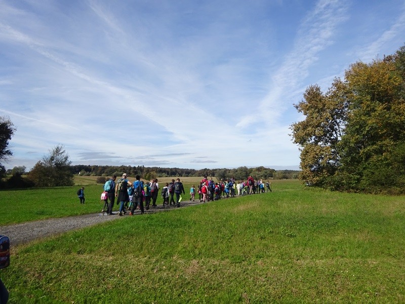 Srečanje OŠ mladine MDO Pomurja (12.10.2024) - foto povečava