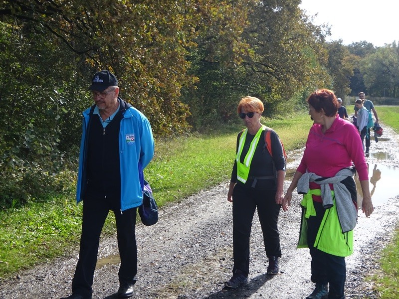 Srečanje OŠ mladine MDO Pomurja (12.10.2024) - foto povečava