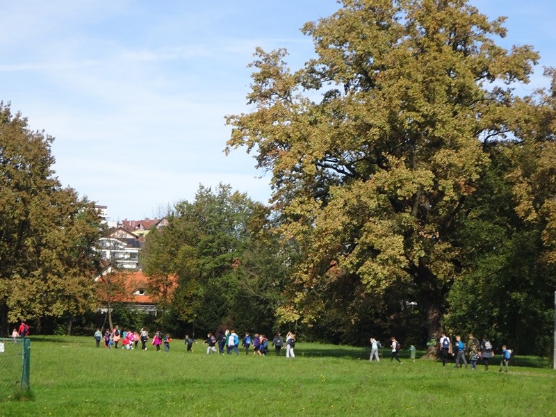 Srečanje OŠ mladine MDO Pomurja (12.10.2024) - foto povečava